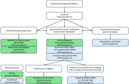 Algorithm for the role of endosonography in patients with suspected or proven NSCLC